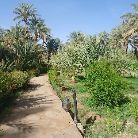 Riad Tagmadarte Ferme D'Hote Zagora Esterno foto