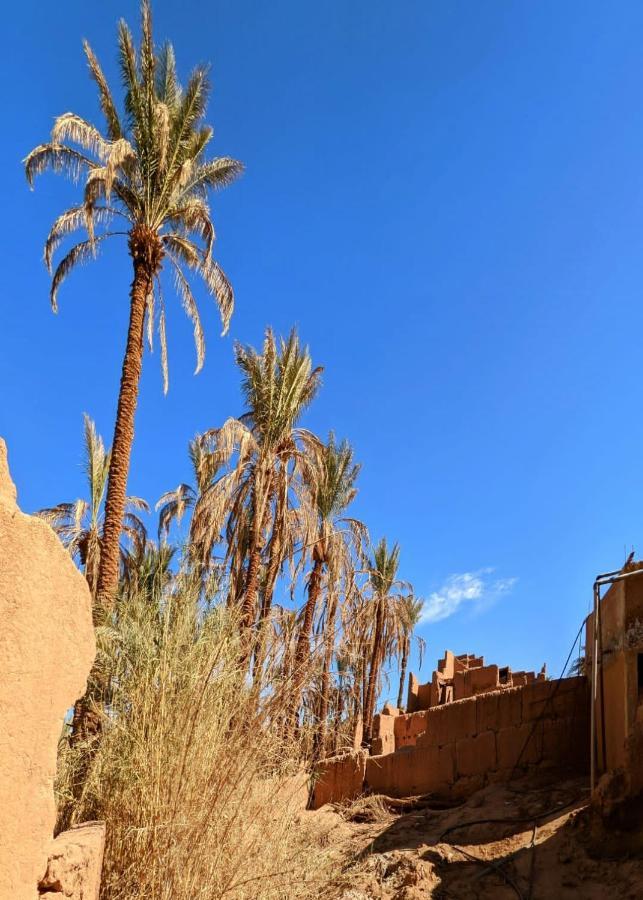 Riad Tagmadarte Ferme D'Hote Zagora Esterno foto