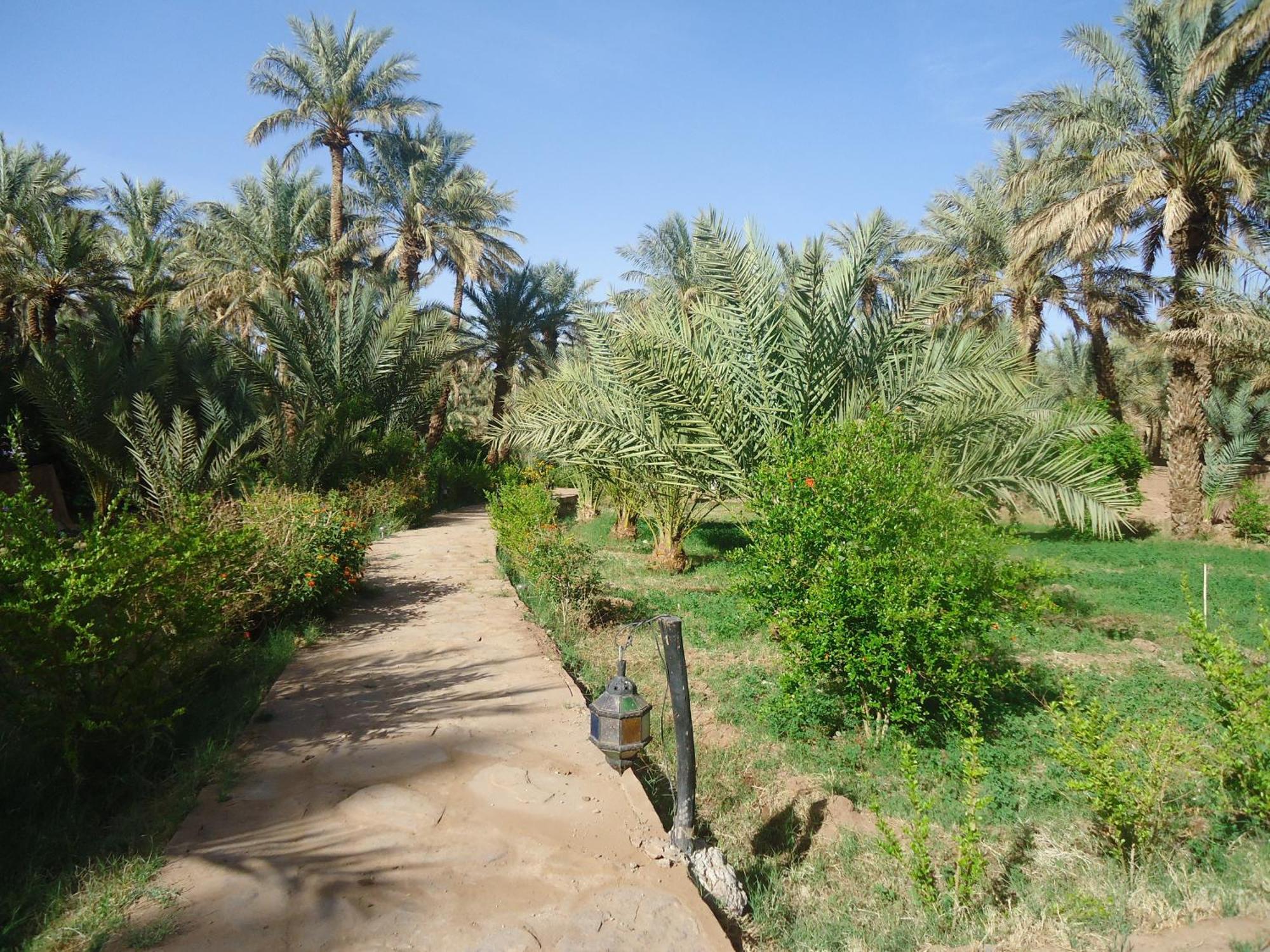 Riad Tagmadarte Ferme D'Hote Zagora Esterno foto