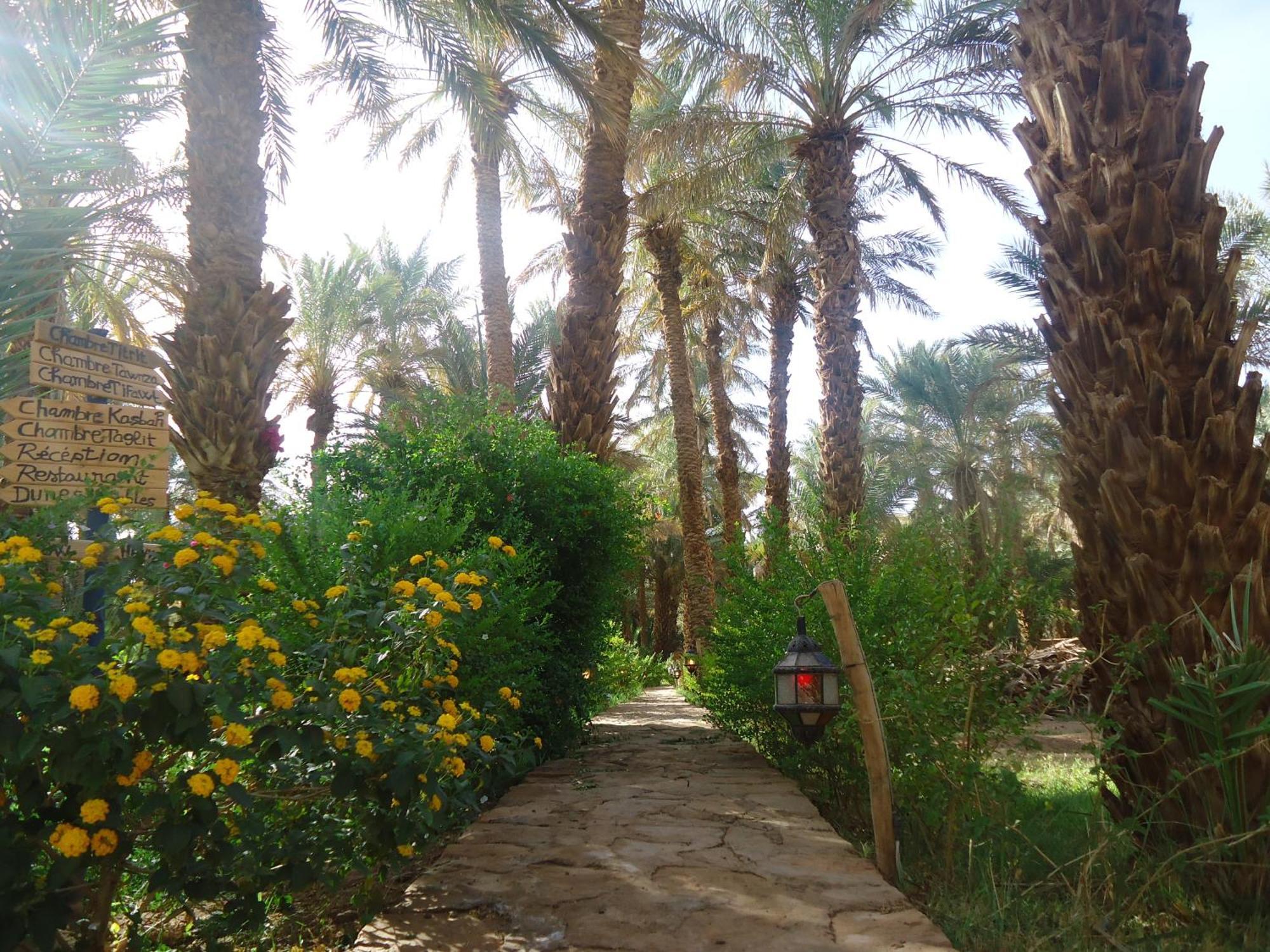 Riad Tagmadarte Ferme D'Hote Zagora Esterno foto