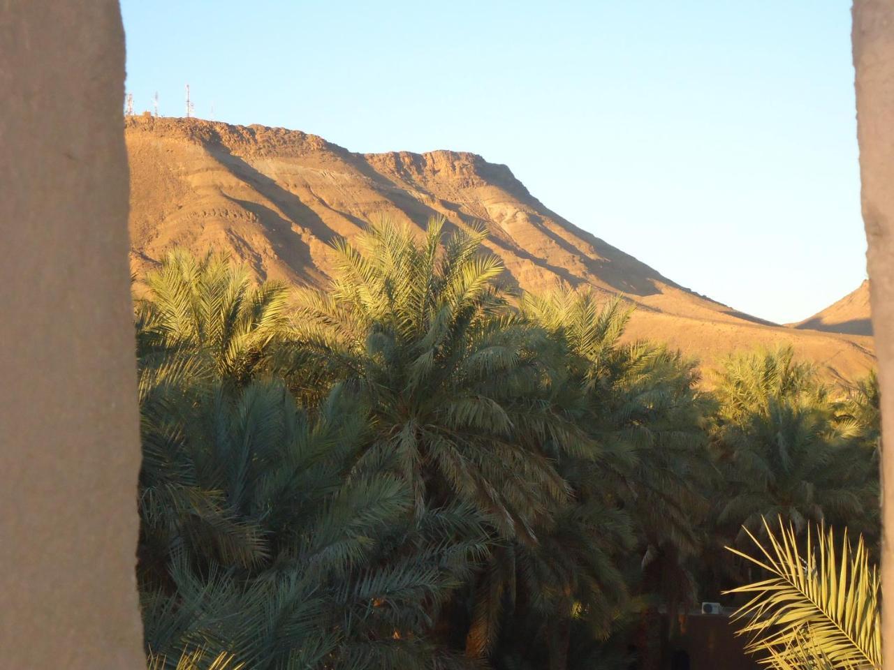 Riad Tagmadarte Ferme D'Hote Zagora Esterno foto