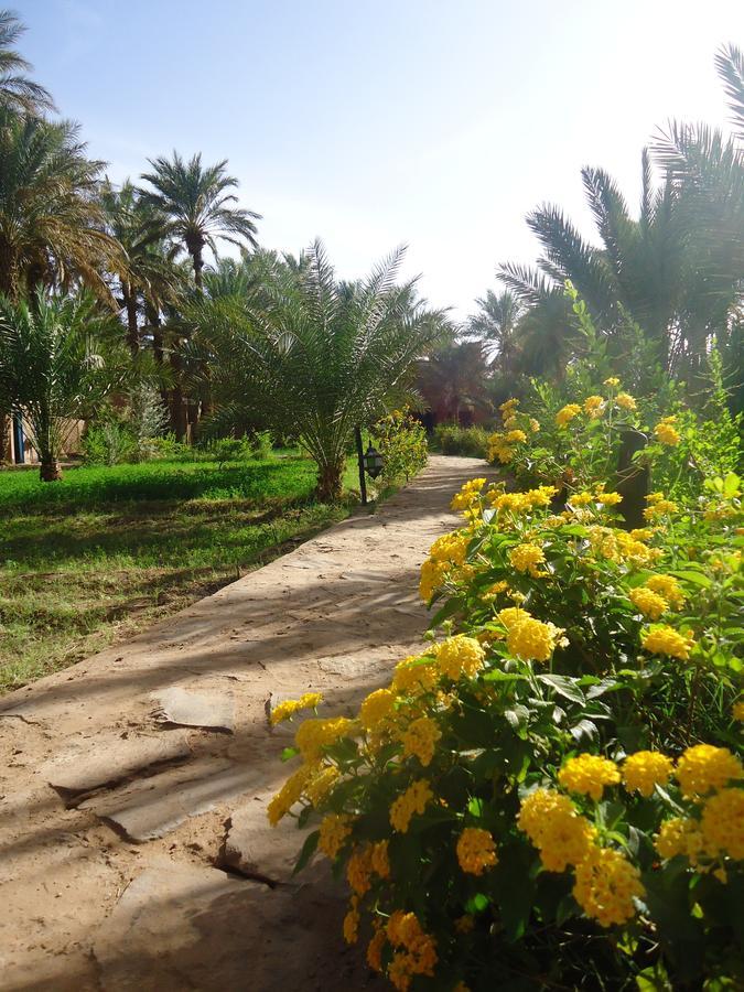 Riad Tagmadarte Ferme D'Hote Zagora Esterno foto