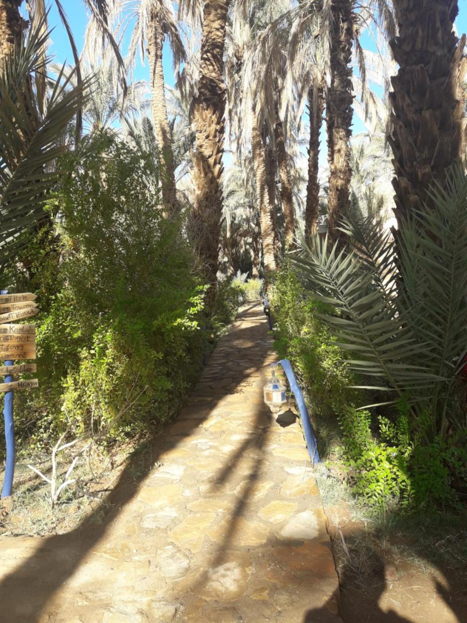 Riad Tagmadarte Ferme D'Hote Zagora Esterno foto
