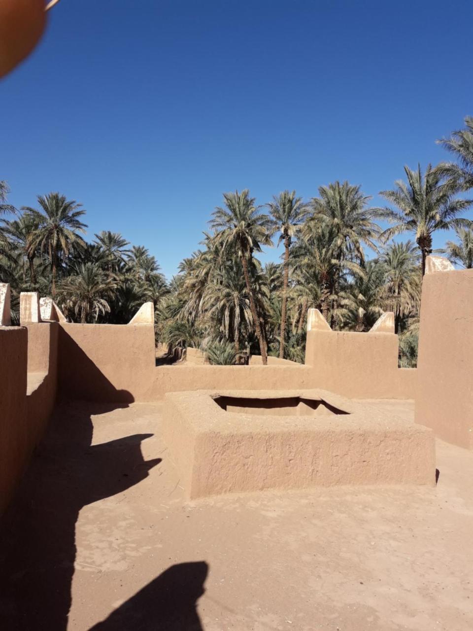 Riad Tagmadarte Ferme D'Hote Zagora Esterno foto