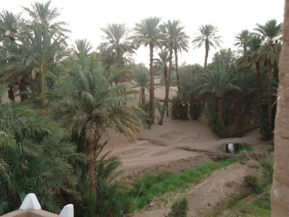 Riad Tagmadarte Ferme D'Hote Zagora Esterno foto
