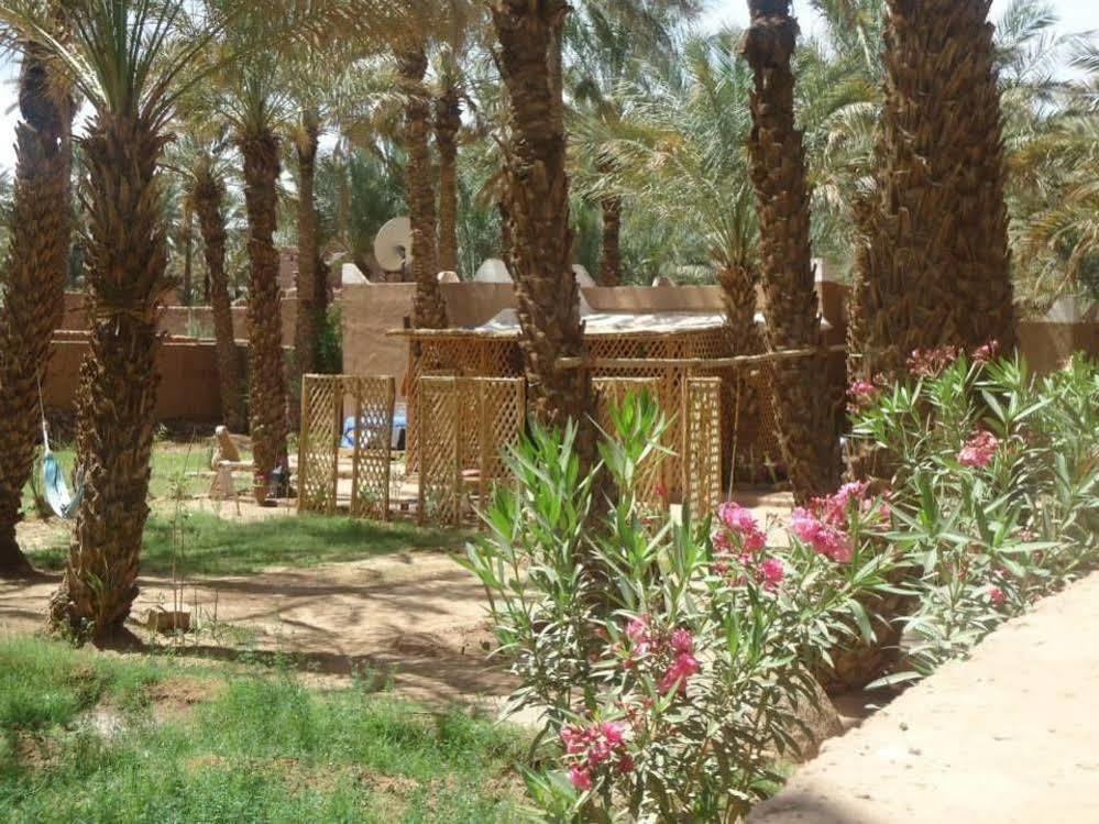 Riad Tagmadarte Ferme D'Hote Zagora Esterno foto
