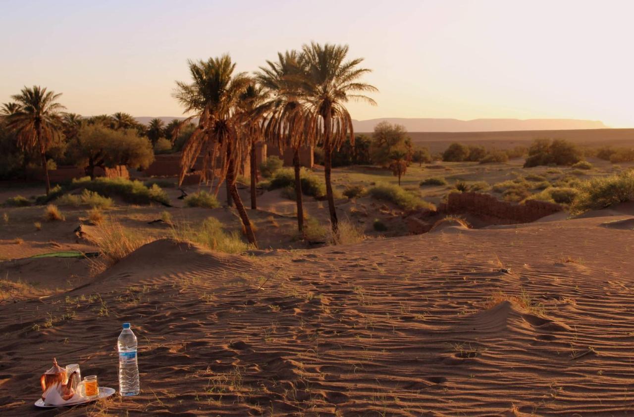 Riad Tagmadarte Ferme D'Hote Zagora Esterno foto