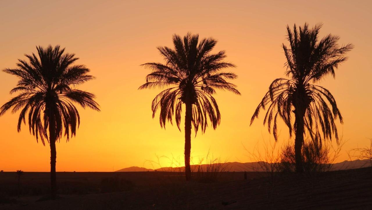 Riad Tagmadarte Ferme D'Hote Zagora Esterno foto