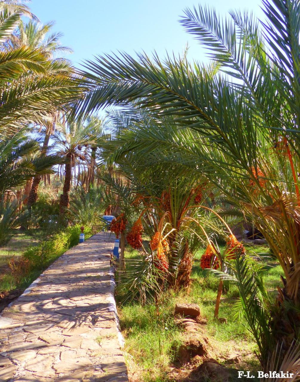 Riad Tagmadarte Ferme D'Hote Zagora Esterno foto