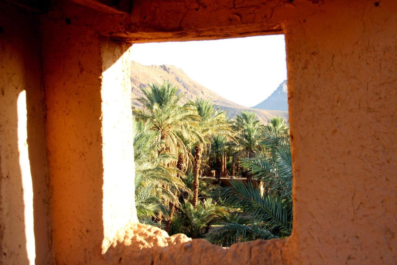 Riad Tagmadarte Ferme D'Hote Zagora Esterno foto