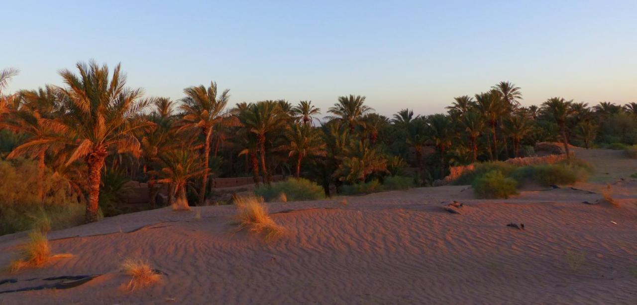 Riad Tagmadarte Ferme D'Hote Zagora Esterno foto