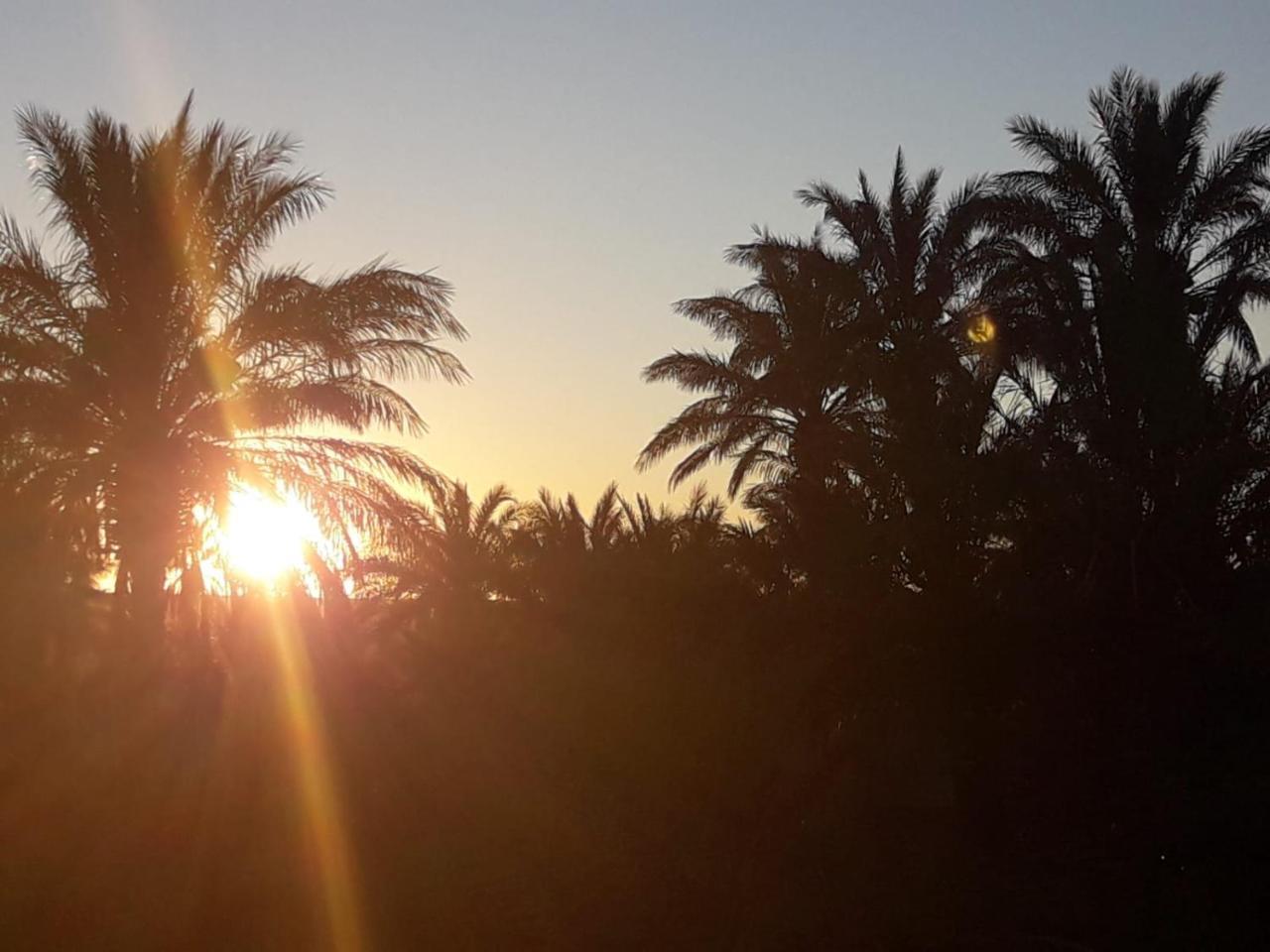Riad Tagmadarte Ferme D'Hote Zagora Esterno foto