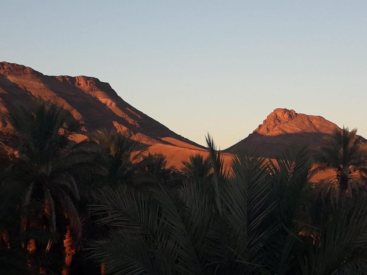 Riad Tagmadarte Ferme D'Hote Zagora Esterno foto